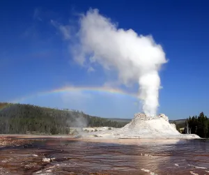 Geyser Yellowstone Wyoming