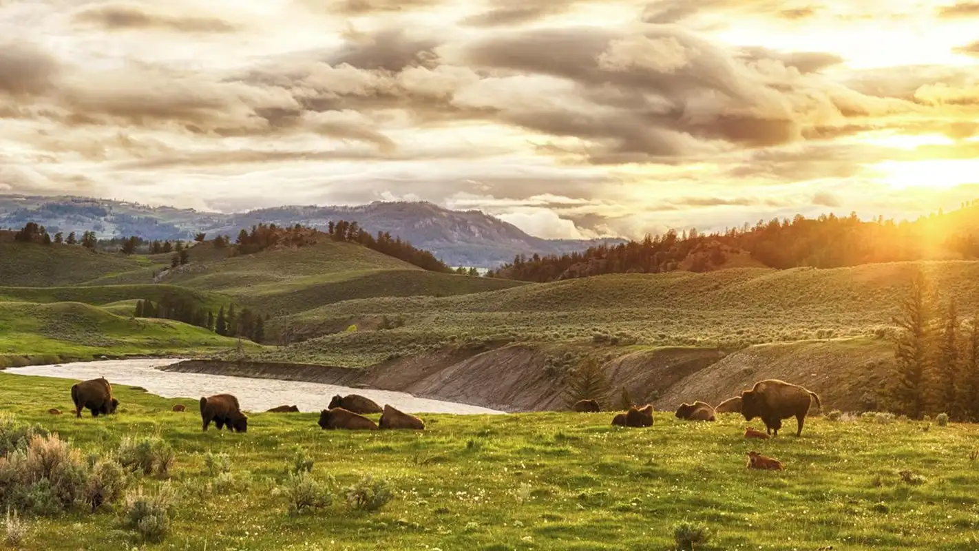 Parc de Yellowstone au Montana