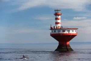 Tadoussac au Canada avec les baleines et orques