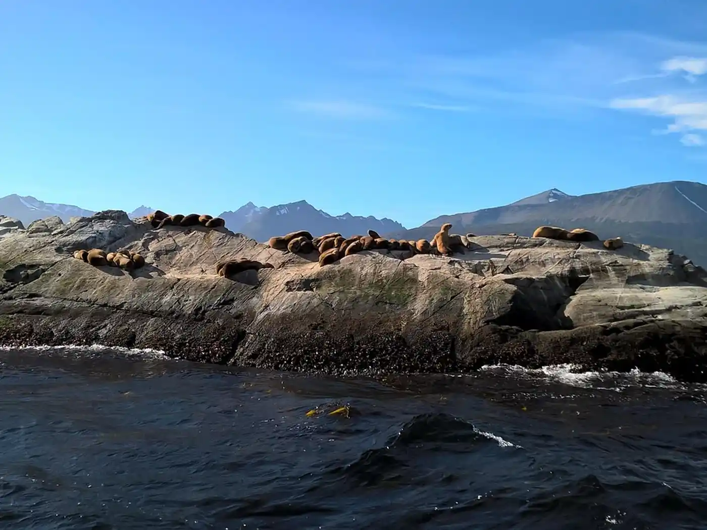 canal Beagle en Argentine