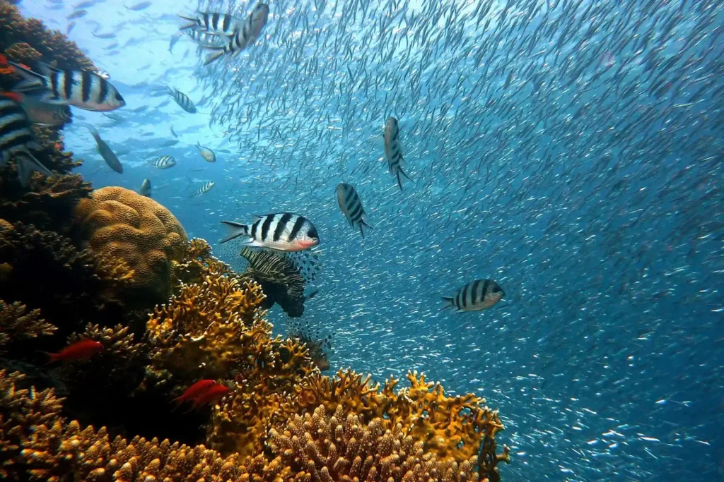 voyage aux iles Fidji