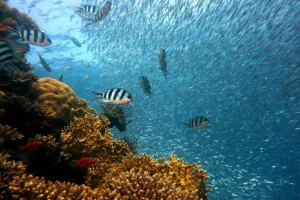 voyage aux iles Fidji