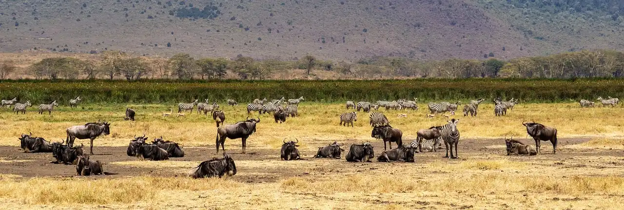 migration Tanzanie