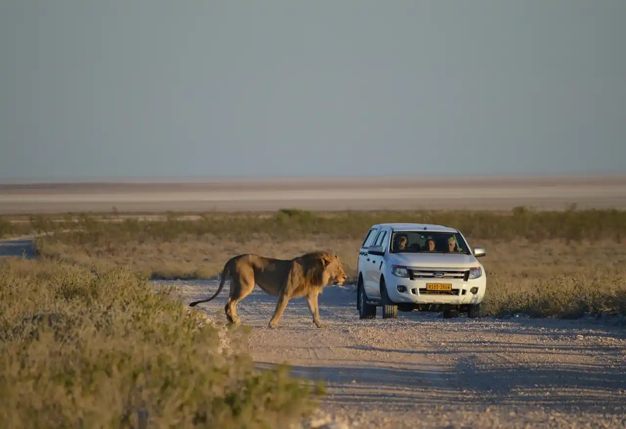 road trip Namibie