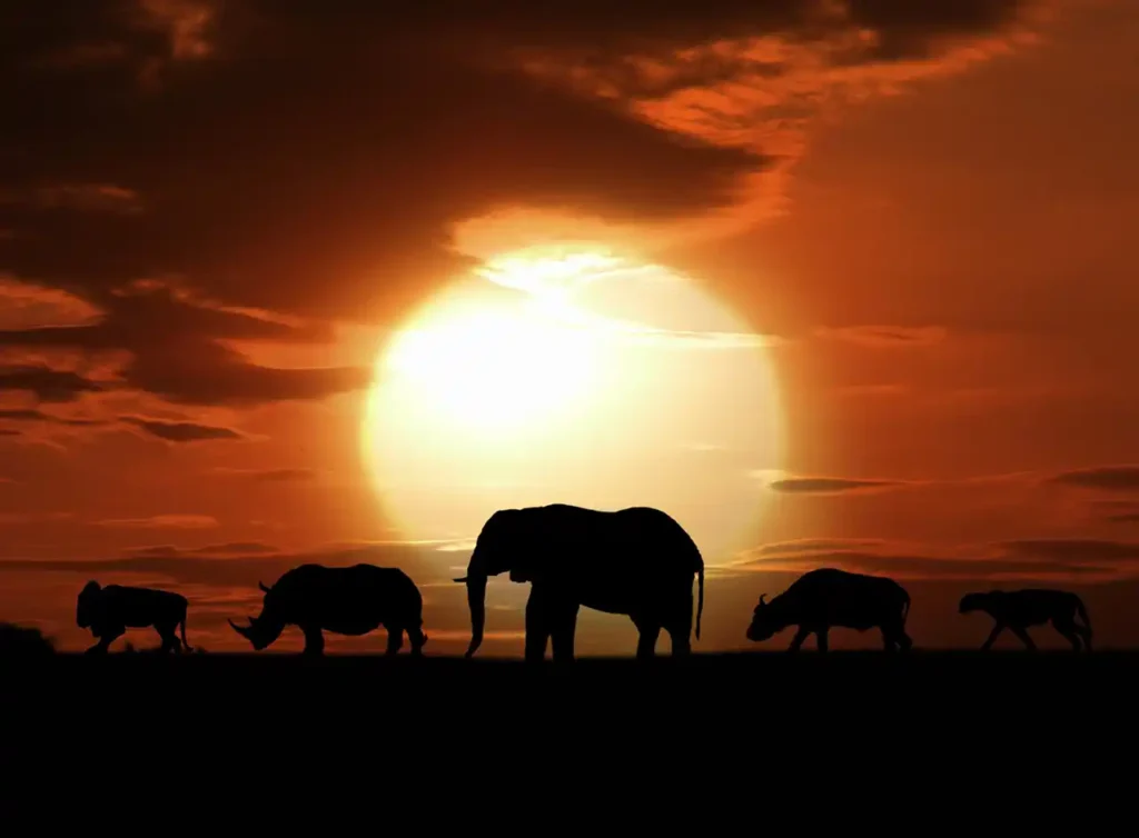 voyage sur mesure Tanzanie