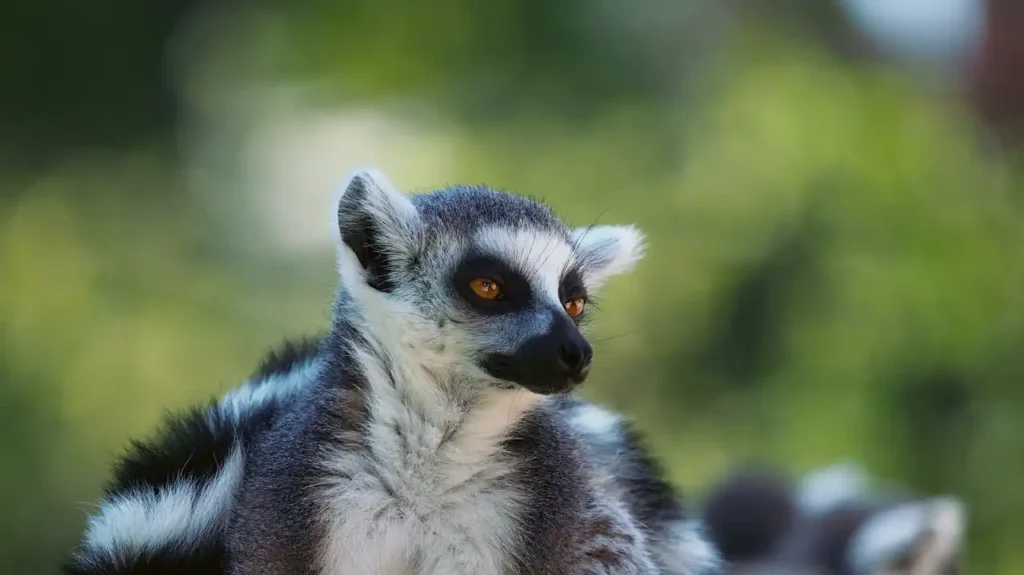 Madagascar hors des sentiers battus