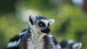 Madagascar hors des sentiers battus