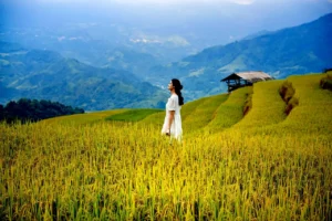 trek Vietnam
