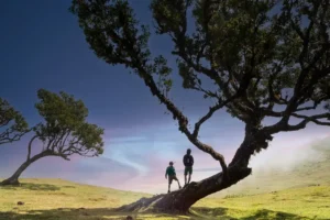 trek à Madère