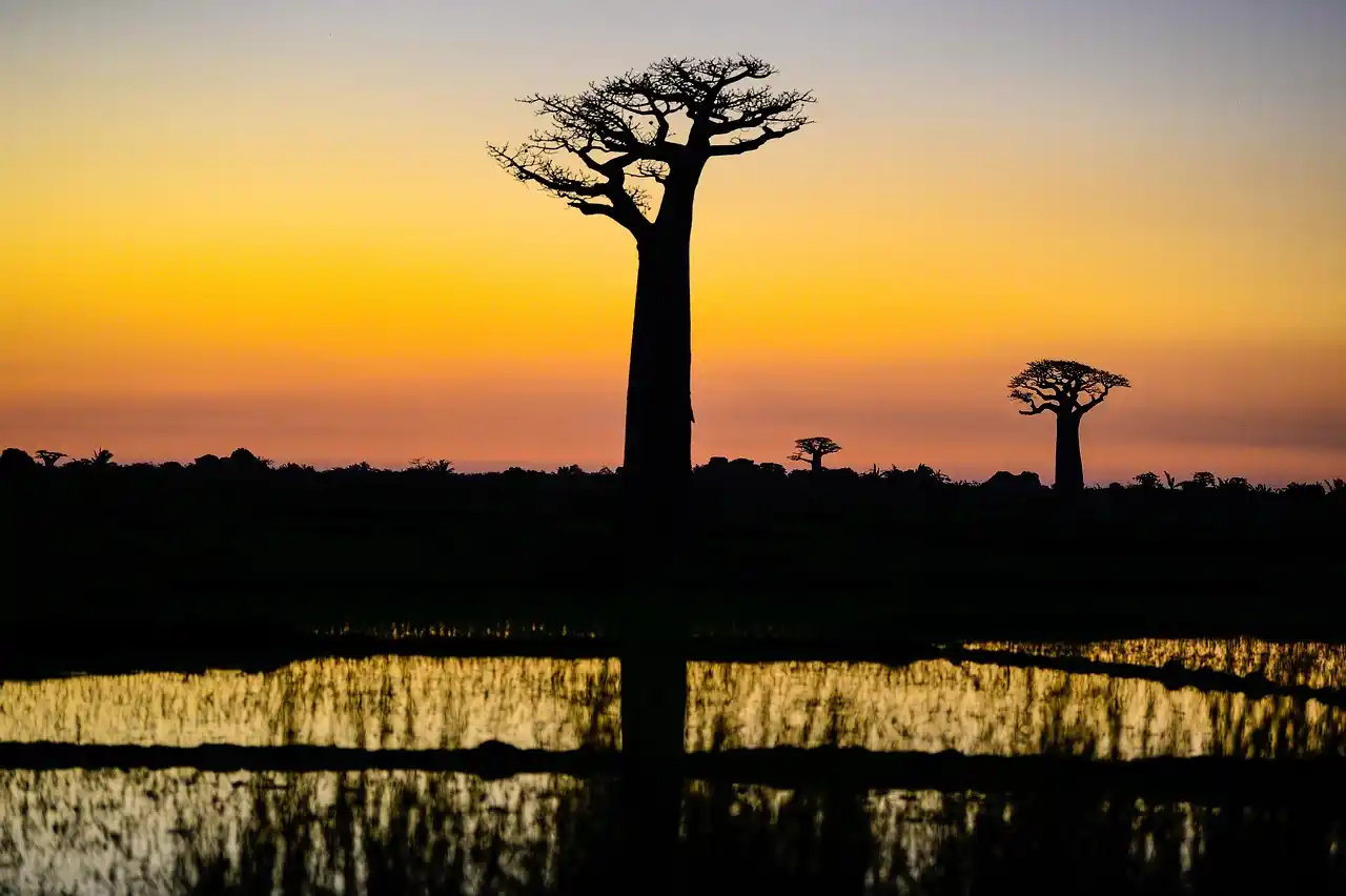 voyage sur mesure Madagascar