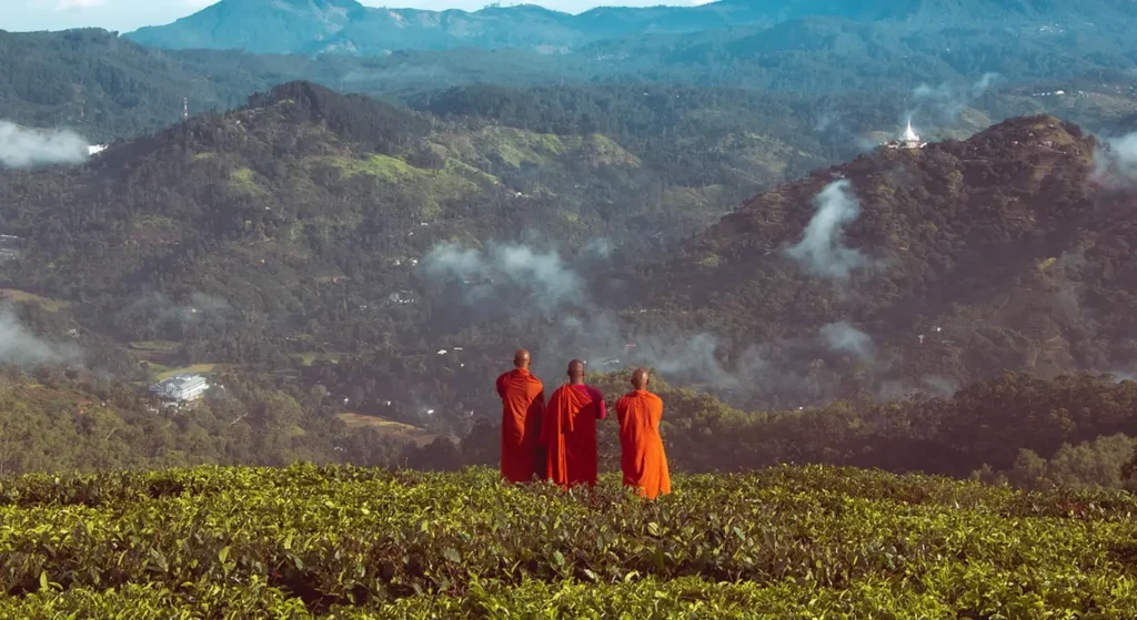 Voyage au Sri Lanka : les moines Moines de Mahamevnawa