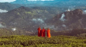 Voyage au Sri Lanka : les moines Moines de Mahamevnawa