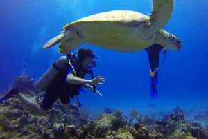 plongée sous marine en Thaïlande