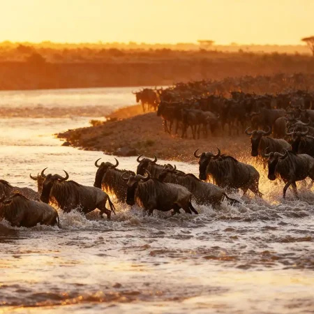 voyage au Kenya sur mesure